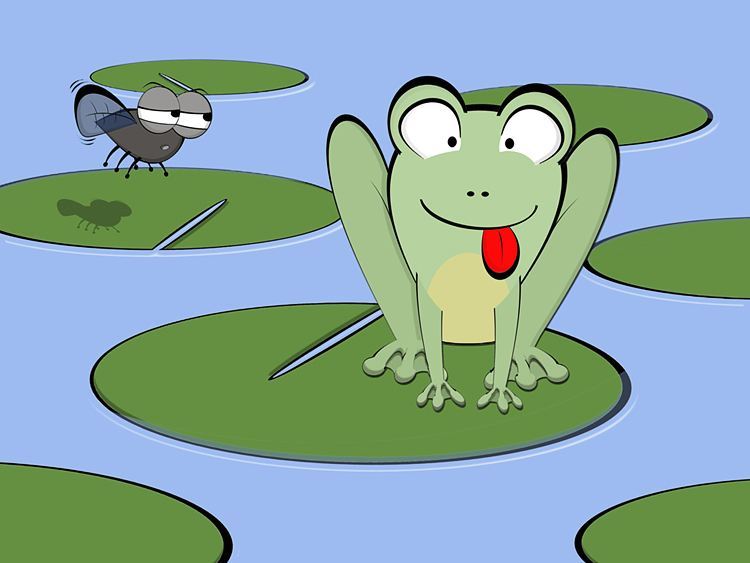 Frog