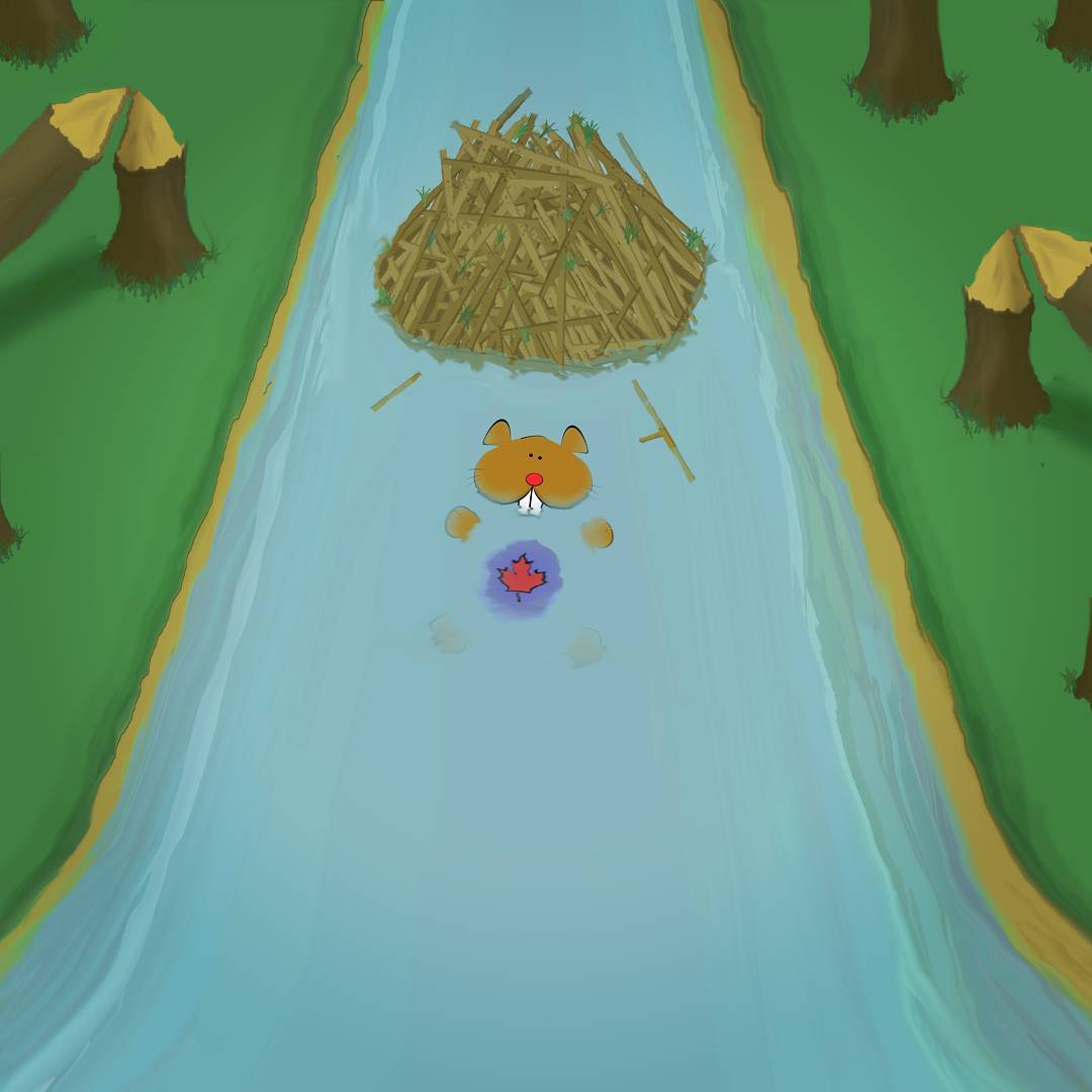 The slide